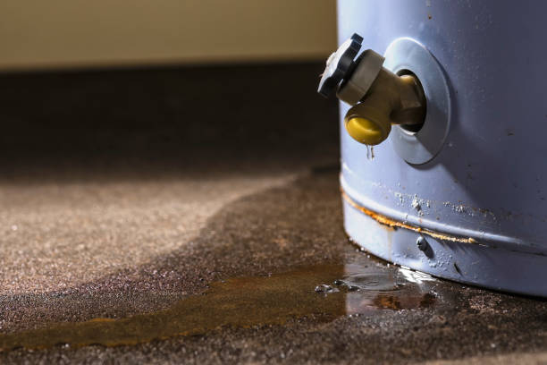 Best 24-hour water damage restoration  in Rmichael, CA