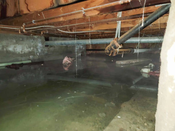 Best Basement water damage restoration  in Rmichael, CA