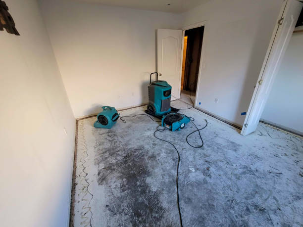 Best Professional water damage repair  in Rmichael, CA