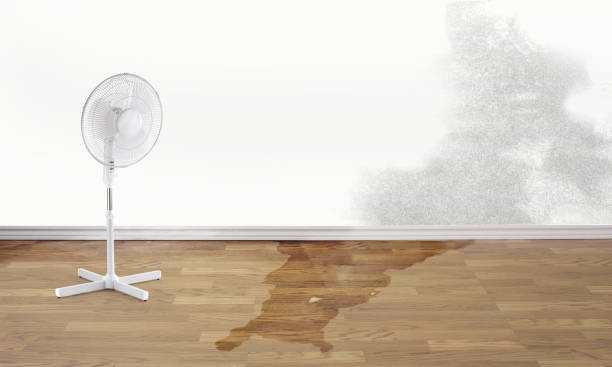 Best Sewage cleanup and water damage restoration  in Rmichael, CA