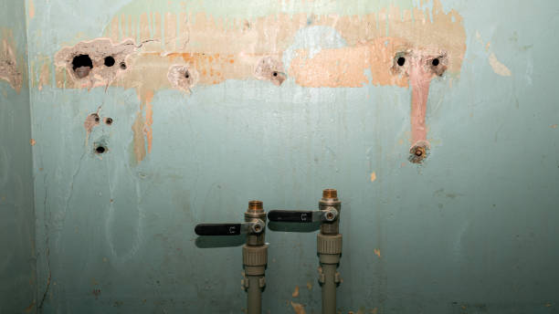 Best Water damage restoration specialists  in Rmichael, CA