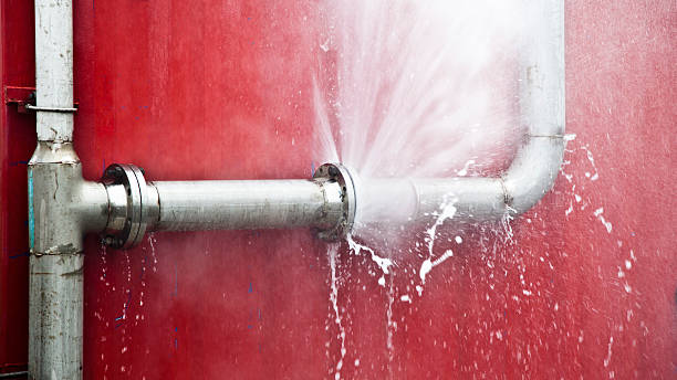 Best Water damage cleanup near me  in Rmichael, CA